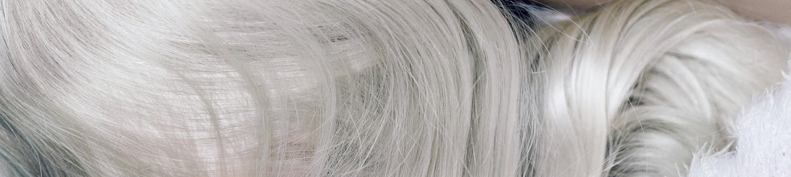 Zilvershampoo, -Conditioner en -Haarmaskers voor koele blondtinten