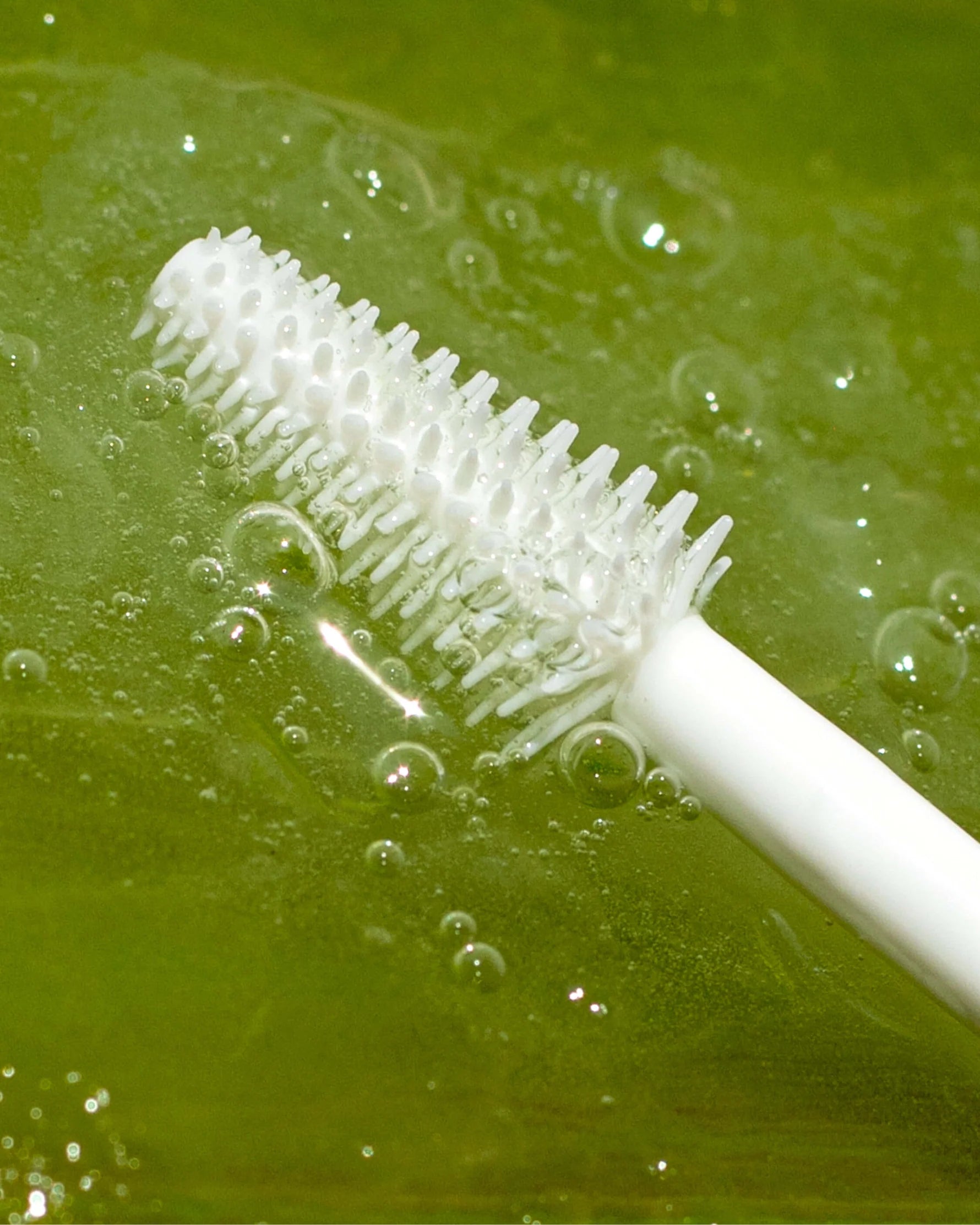 Aloe Brow Gel & Mascara - Clear