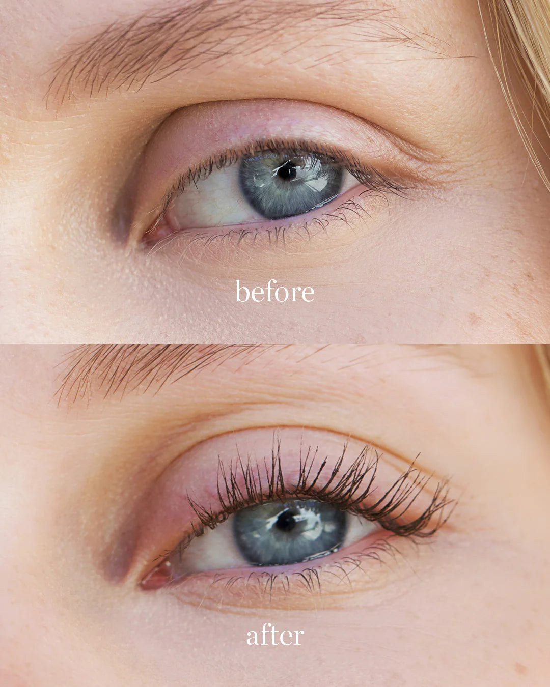 De Avocado Waterproof Mascara van Ere Perez is een mascara de zorgt voor lange, volle wimpers met een natuurlijke bruine kleur. De formule is volledig waterproof en long-lasting. De Avocado olie in de mascara versterkt de wimpers en stimuleert de groei. Daarnaast maakt dit de mascara heel geschikt voor gevoelige ogen.

Avocado's staan bekend om hun goede en gezonde vetten, maar avocado's en de olie ervan bevatten ook veel verschillende vitaminen. Zoals vitamine A, B, C, D, E & K. 