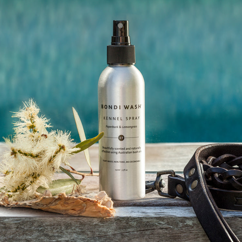 Verfris de slaapplek of kennel van je hond met deze vegan Kennel Spray van Bondi Wash. Deze spray is ontwikkeld met Paperbark - die zijn oorsprong vindt in Australië en bekend staat om de antibacteriële, antischimmel en insect-werende eigenschappen én daarnaast ook relaxerend en verzachtend werkt. Gecombineerd met citroengras en andere essentiële oliën voor een heerlijke geur die je hond geweldig zal vinden. Geheel veganistisch en dierproefvrij.